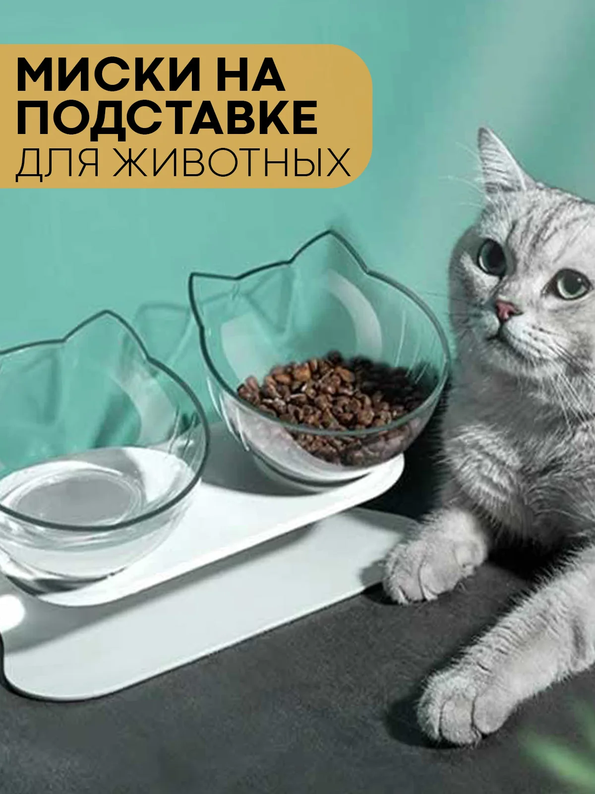 Прозрачный миска для корма кошек и собак КАРТОФАН пластиковая, на подставке с автопоилкой, 4 вида