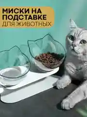 Прозрачный миска для корма кошек и собак КАРТОФАН пластиковая, на подставке с автопоилкой, 4 вида