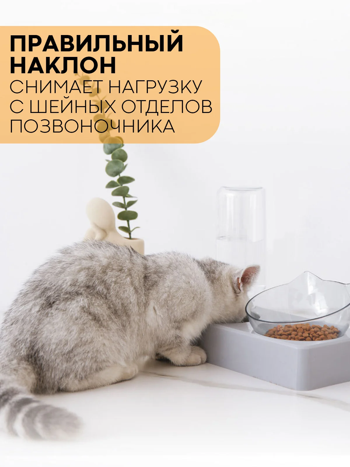Прозрачный миска для корма кошек и собак КАРТОФАН пластиковая, на подставке с автопоилкой, 4 вида