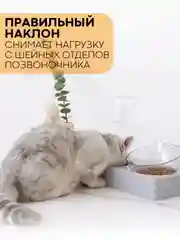 Прозрачный миска для корма кошек и собак КАРТОФАН пластиковая, на подставке с автопоилкой, 4 вида