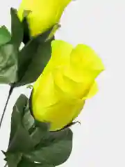 Лимонный искусственные цветы розы, букет