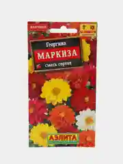 Семена цветов Георгина "Маркиза", смесь сортов
