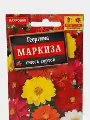Семена цветов Георгина "Маркиза", смесь сортов