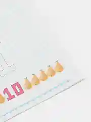 Фуксия прописи для детей, цветные