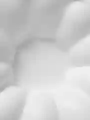Форма для муссовых десертов и выпечки Доляна "Цветок", 21 х 7 см, цвет белый