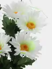 Фиолетовый искусственные цветы. Герберы (букет). Композиция
