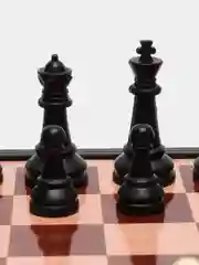 Шахматы, 18 х 18 см