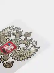 Светло-оранжевый термонаклейка, термотрансфер, заплатка на одежду, 62 вида