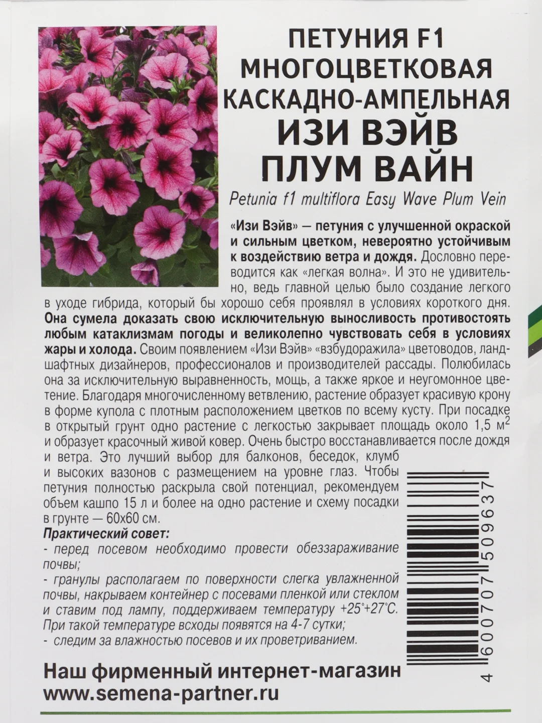 Петуния Изи вэйв плум вайн, партнер, семена, цветы