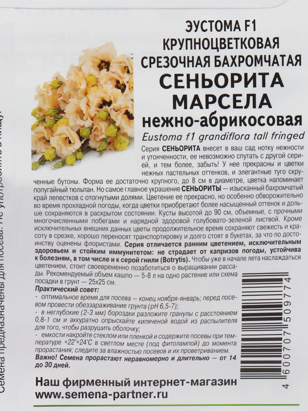 Эустома "Сеньорита марсела", партнер, семена, цветы