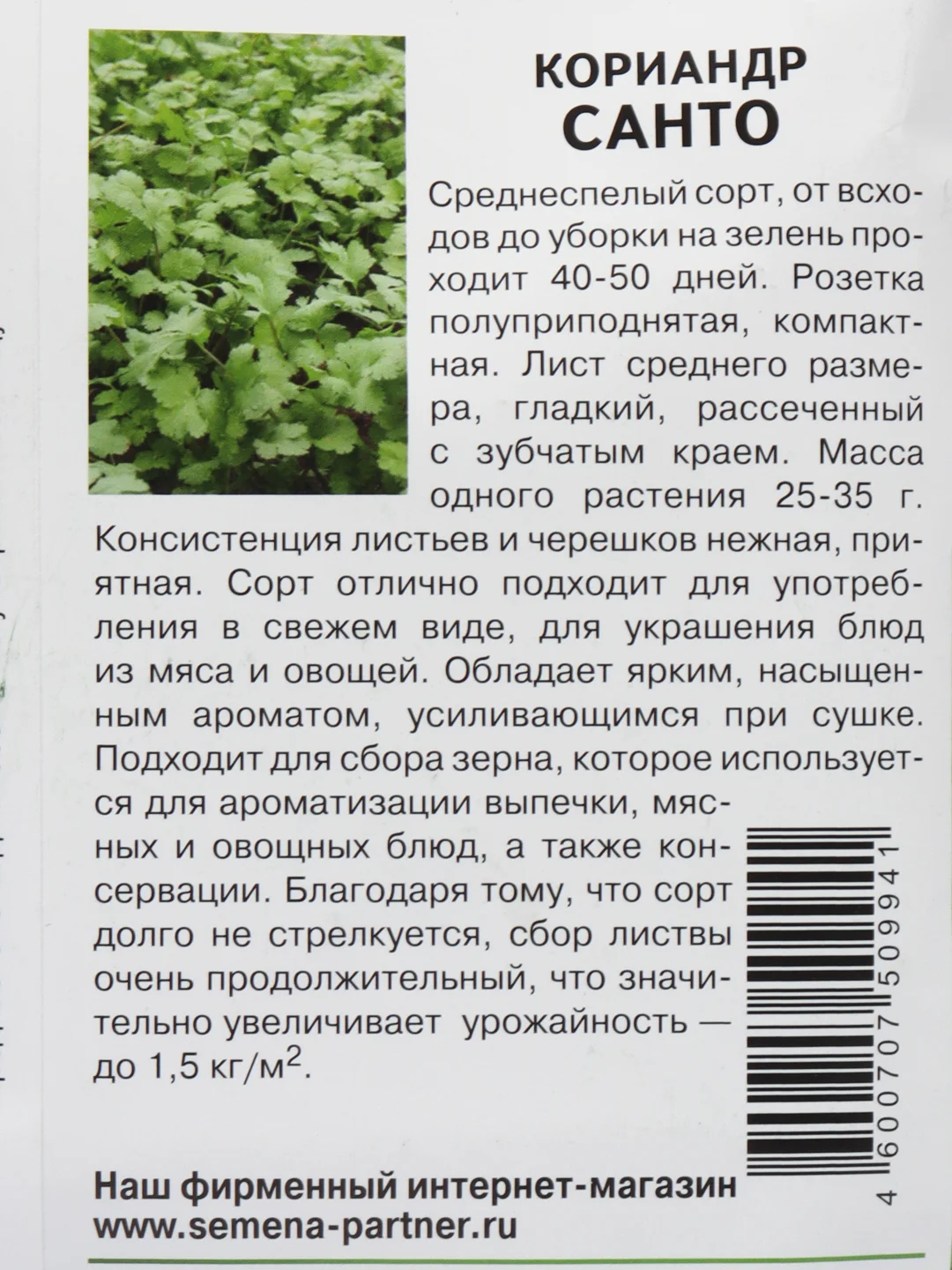 Кориандр Санто партнер, семена