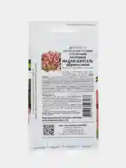 Эустома "Мадам шанталь", партнер, семена, цветы