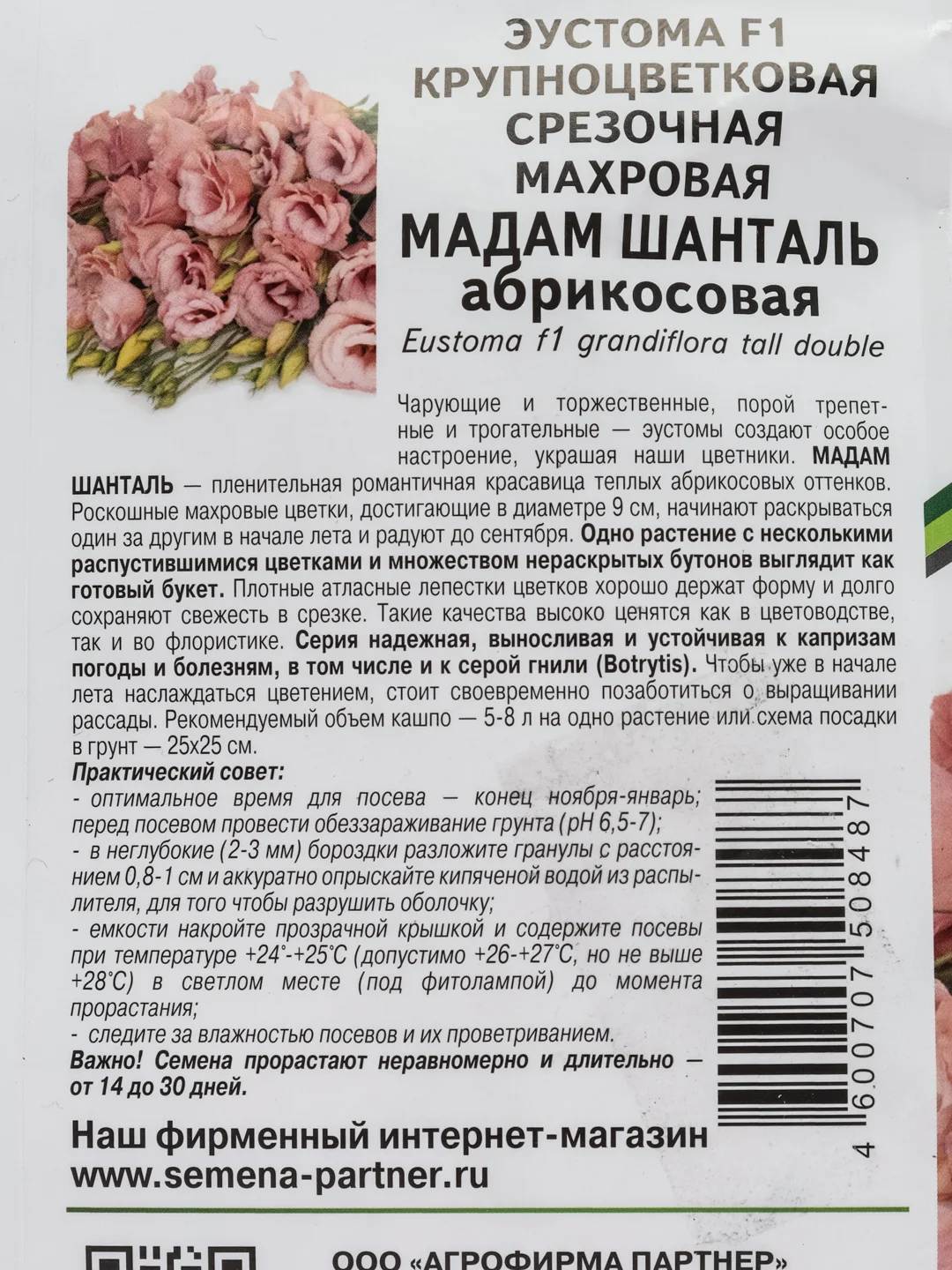 Эустома "Мадам шанталь", партнер, семена, цветы