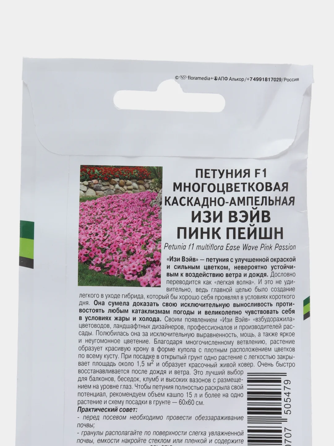 Петуния "Изи вэйв пинк пейшн", партнер, семена, цветы