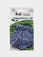 Лобелия Ривьера блу ай, партнер, семена, цветы