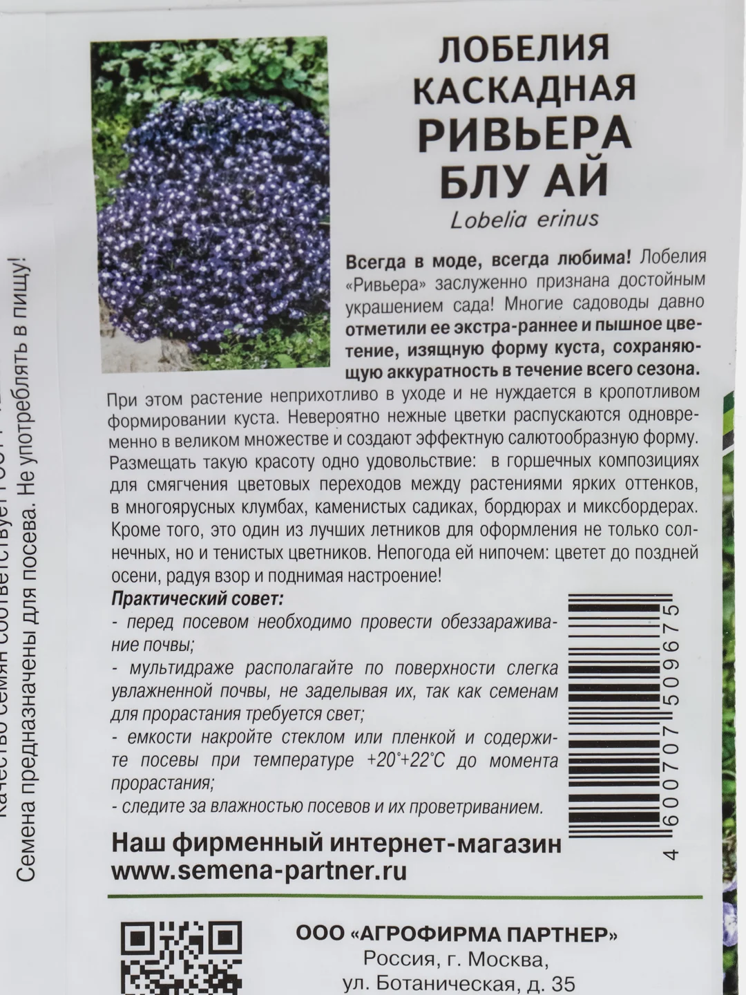 Лобелия Ривьера блу ай, партнер, семена, цветы