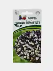 Виола Кул вэйв вайлет винг, партнер, семена, цветы