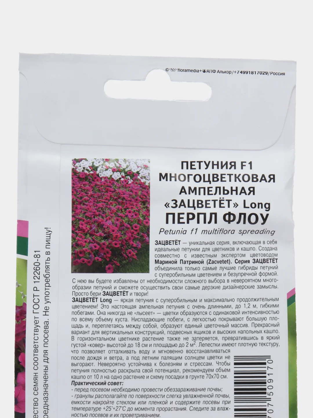 Петуния Перпл флоу партнер, семена, цветы
