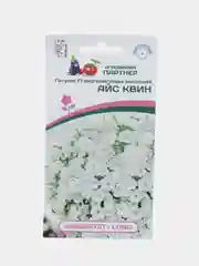 Петуния "Айс квин", партнер, семена, цветы