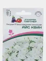 Петуния "Айс квин", партнер, семена, цветы