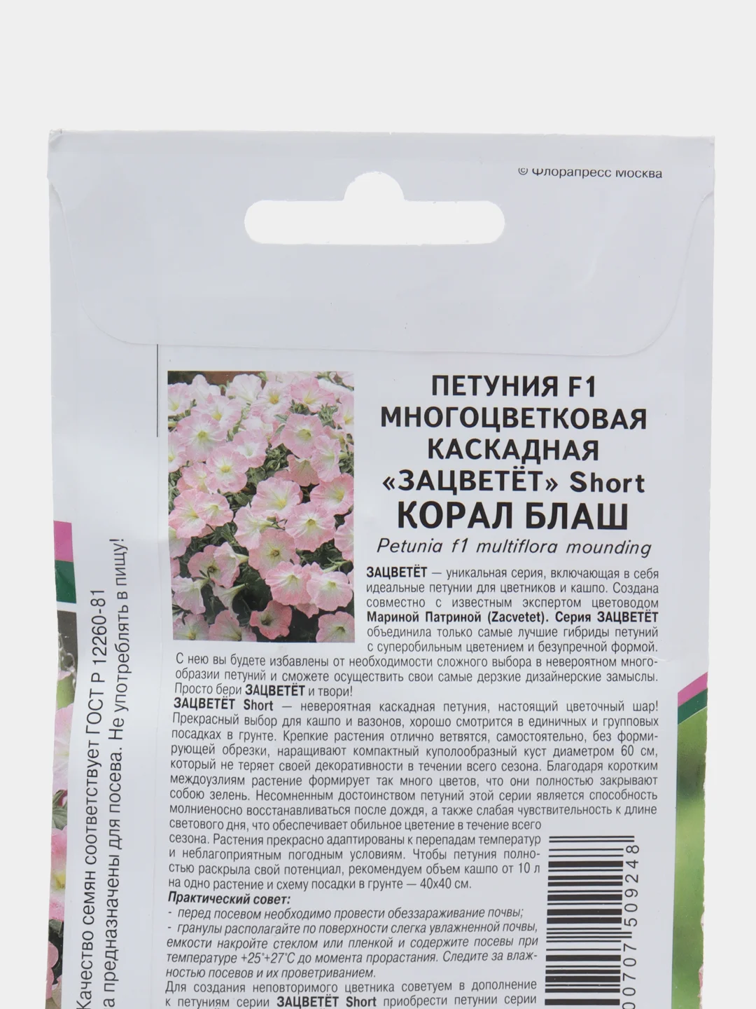 Петуния Корал блаш, партнер, семена, цветы