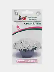 Петуния "Сноу блум", партнер, семена, цветы