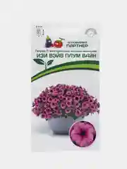 Петуния Изи вэйв плум вайн, партнер, семена, цветы