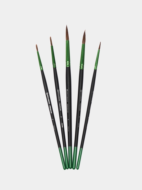 Кисти, кисточки для акварели, гуаши Brauberg 5 штук, пони, круглые №1, 2, 3, 4, 5, 201022