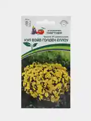 Виола Кул вэйв голден еллоу, партнер, семена, цветы