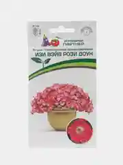Петуния Изи вэйв рози доун партнер, семена, цветы