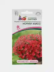 Петуния "Корал кисс", партнер, семена, цветы
