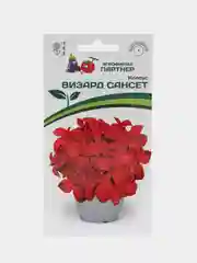 Колеус Визард сансет партнер (семена,цветы)