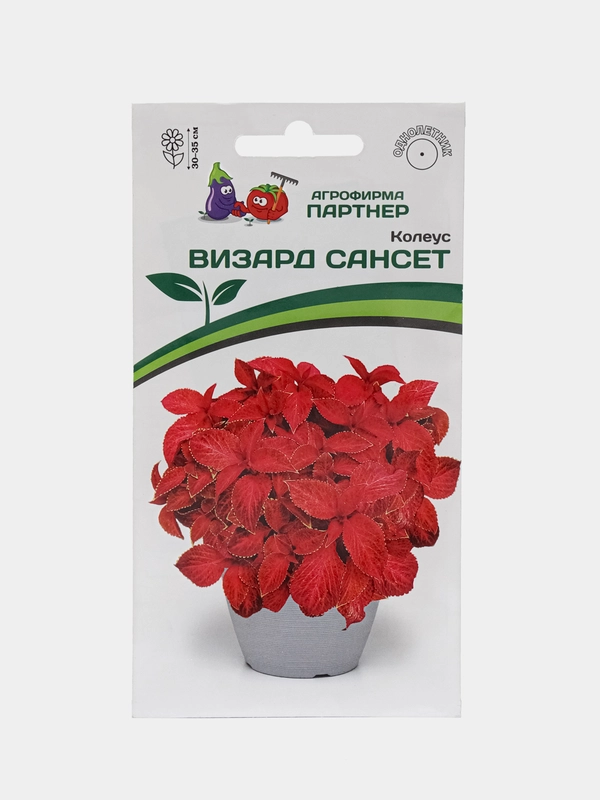 Колеус Визард сансет партнер (семена,цветы)