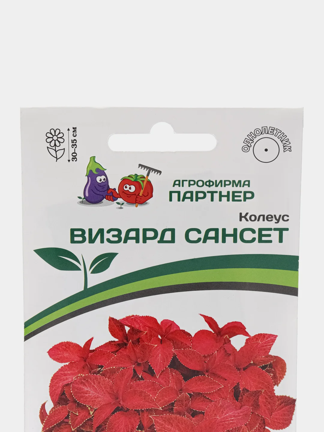Колеус Визард сансет партнер (семена,цветы)