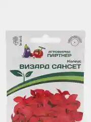 Колеус Визард сансет партнер (семена,цветы)