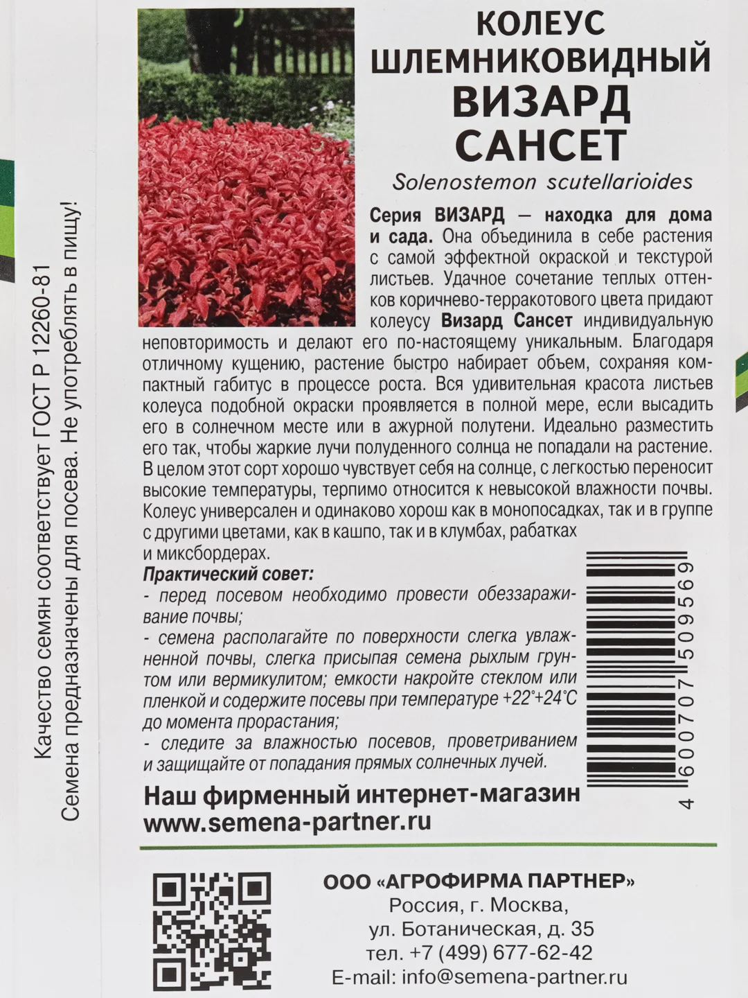 Колеус Визард сансет партнер (семена,цветы)