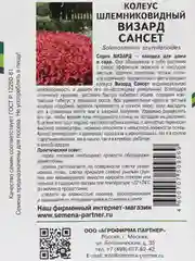 Колеус Визард сансет партнер (семена,цветы)