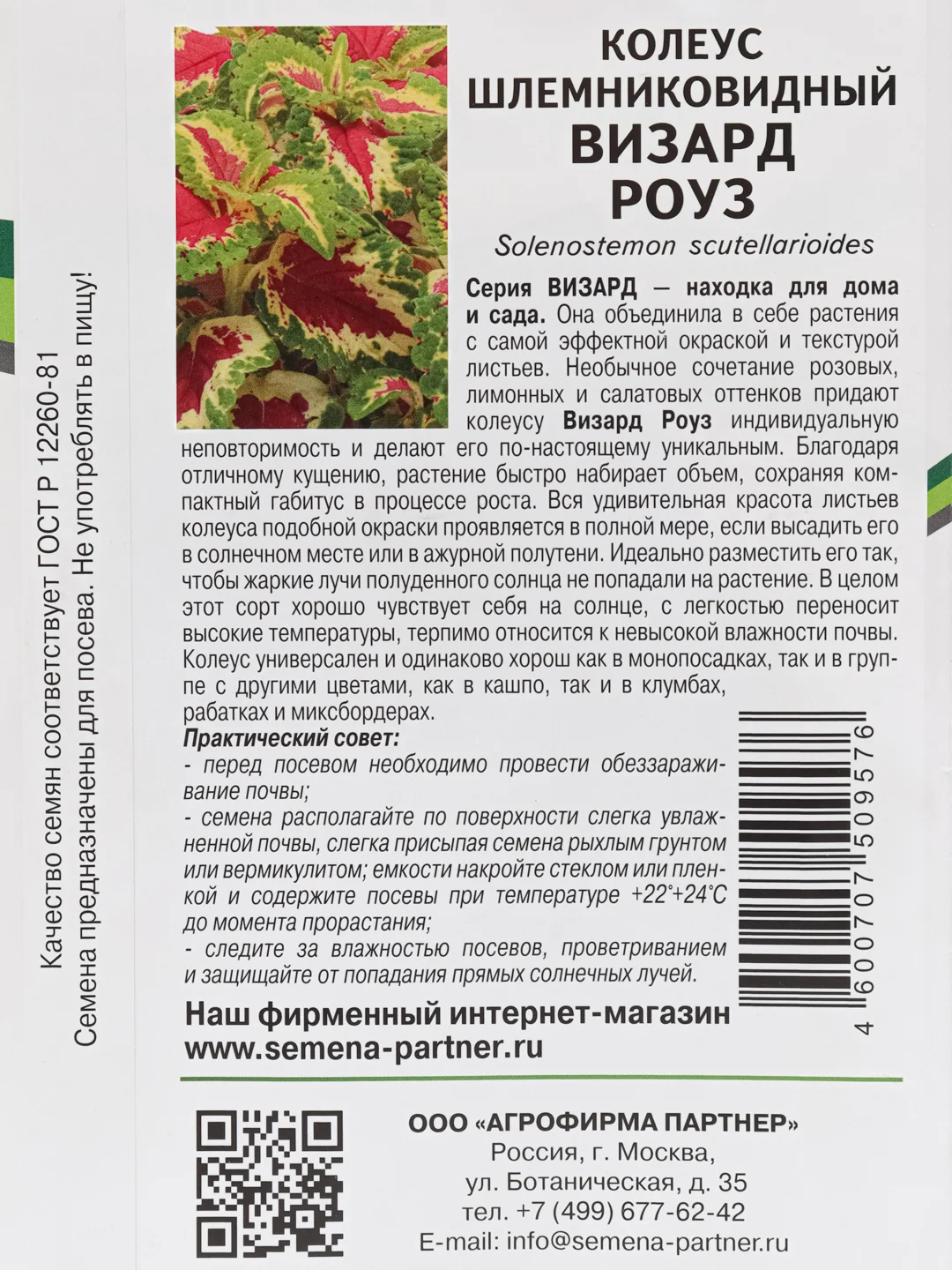 Колеус Визард роуз, партнер, семена, цветы
