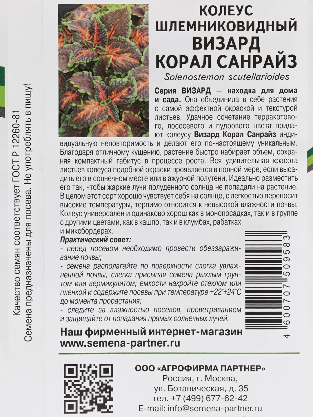 Колеус Визард корал санрайз партнер, семена, цветы