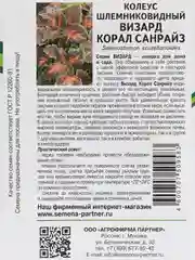 Колеус Визард корал санрайз партнер, семена, цветы