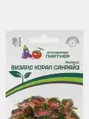 Колеус Визард корал санрайз партнер, семена, цветы