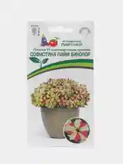 Петуния Софистика лайм биколор партнер (семена,цветы)