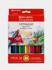 Карандаши цветные акварельные BRAUBERG "АКАДЕМИЯ", 18 цветов, шестигранные