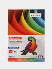 Бумага цветная для принтера офисная, А4, 80 г/м2, 250 л., (5 цветов х 50 л.), 112464