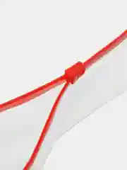 Красный папка-конверт на ZIP-молнии, 12,2 х 24 см, прозрачная