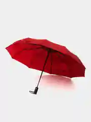 Бордовый зонт автоматический, 10 спиц