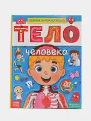 Энциклопедия в твёрдом переплёте "Тело человека", 48 страниц, обучающая книжка для детей