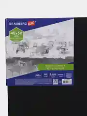 Холст, полотно для рисования на подрамнике черные в коробе, 2 штуки Brauberg 880354