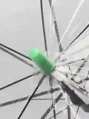 Салатовый детский зонт