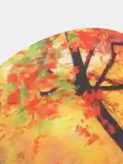 Тёмно-розовый ночники